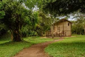 Arcadia Cottages Mburo