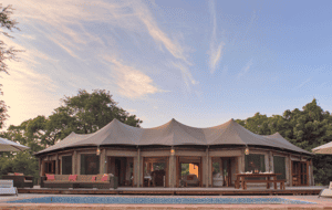 Flatdogs Crocodile Nest