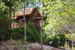 Dzalanyama Forest House