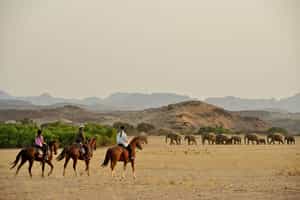 Namibia Horse Safari: Damara Elephant Safari