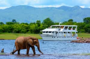 Matusadona Luxury Safari Cruiser