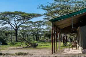 Ang'ata Migration Ndutu Camp