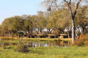 Capture Africa Mobile Safaris