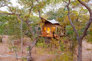 Mukambi Fig Tree Bush Camp