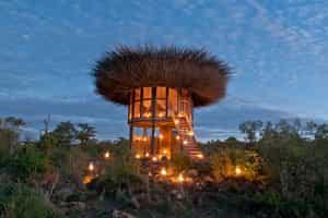 Nay Palad Bird Nest