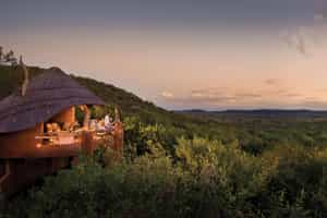 Madikwe Dithaba Lodge