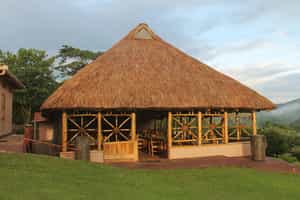 Chimpanzee Forest Lodge