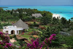 Diamonds Star of The East