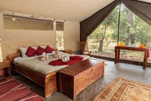 Hammerkop Migration Camp