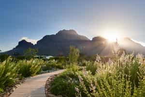 Boschendal - Retreat Cottages