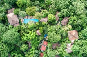 Bodhi Tree Yoga Resort