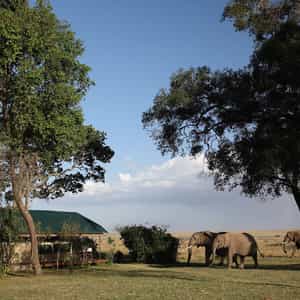 Governors' Camp Image