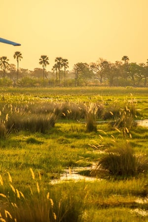 Dreamy Botswana Honeymoon
