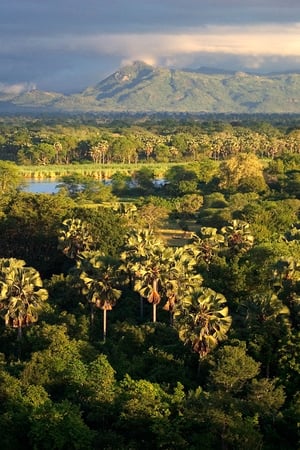 A wilderness retreat in northern Malawi