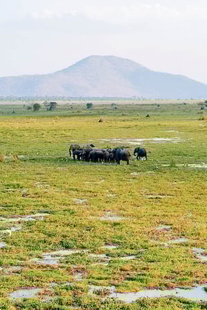 Bush & beach, Malawi-style