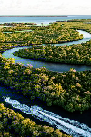 Lions & lemurs: a journey through South Africa & Madagascar