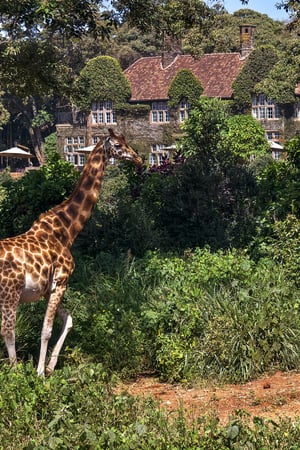 Karen Blixen’s Kenya