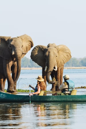 Mokoro & canoe safari