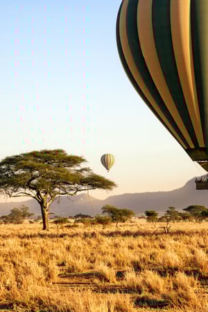 A Rwanda & Tanzania combination