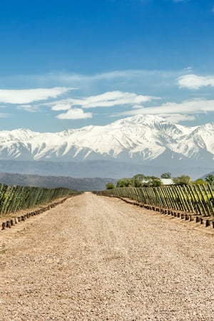 The secrets of Argentina's north