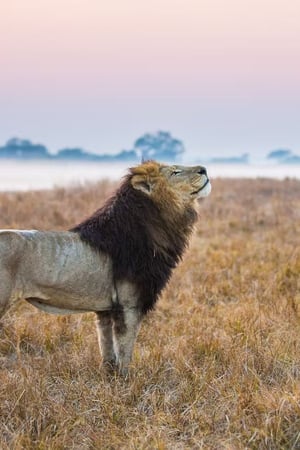 Explore Zambia & Malawi with huge savings on flights