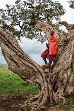 Safari from the Masai Mara to the Serengeti