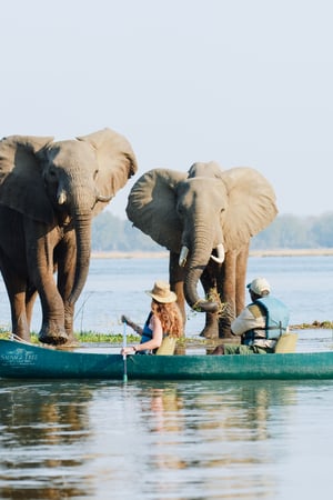 Zambia’s classic safari destinations