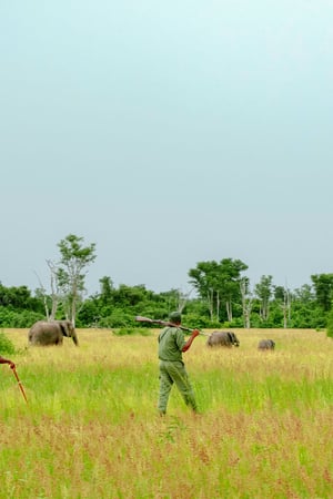 Zambia’s green season gems