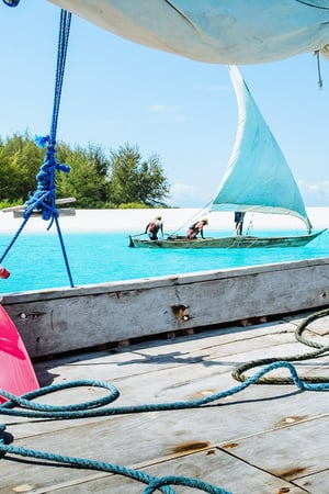 The classic Tanzanian bush & beach safari