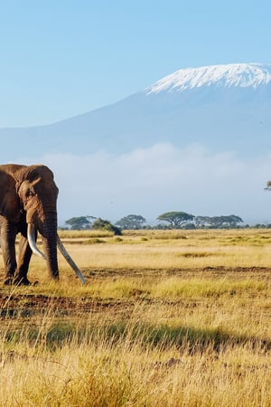 All the highlights, all in one