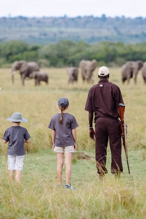 Conservation, cats and walking safaris in Kenya