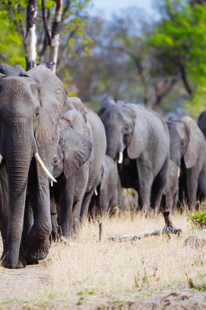 The wonders of western Zimbabwe