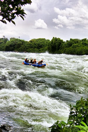 Discover the source of the Nile