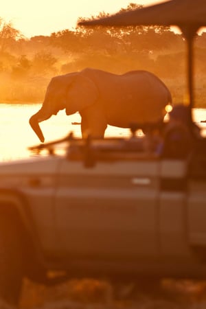 Elephant encounters & desert adventures in Botswana