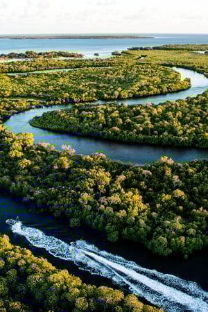 Lions & lemurs: a journey through South Africa & Madagascar