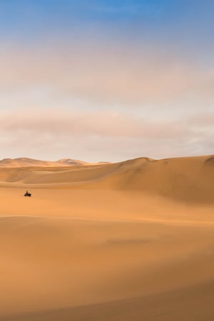 Namibia: safaris, dunes & shipwrecks