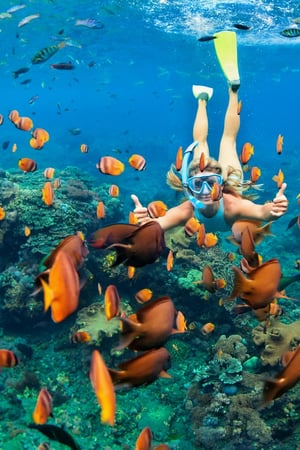 Sri Lanka & the Maldives 