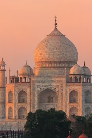 The best of the best in India