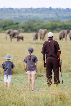 Conservation, cats and walking safaris in Kenya