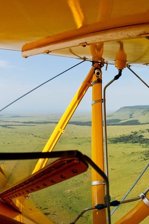 Flying safari