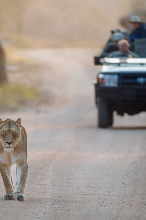 South Africa in a nutshell