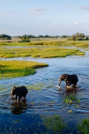 Botswana & the No 1 Ladies’ Detective Agency