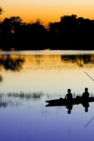 A complete journey from Vic falls through Botswana