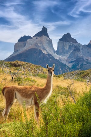 All the highlights of Chile