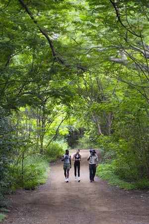 Costa Rica from coast to coast