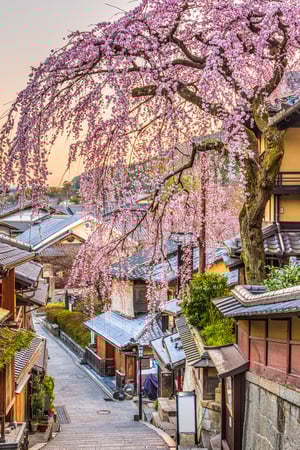 The essence of Japan