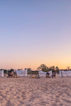 The Best of the South Luangwa