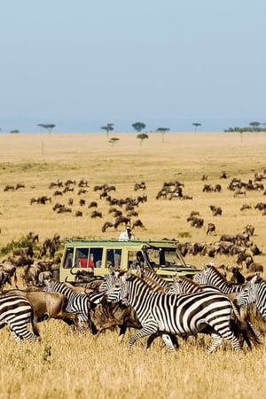 A driving expedition through northern Tanzania