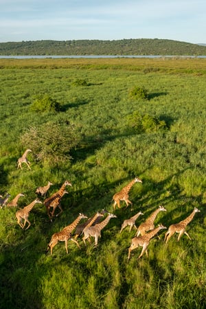 The highlights of Rwanda 