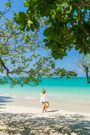 Explore the rainforests & beaches of Thailand